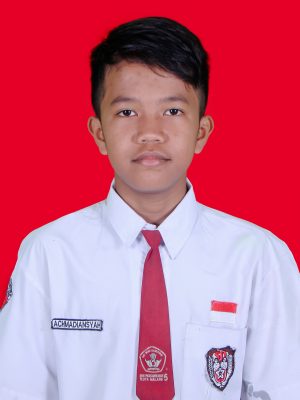 ACHMADIANSYAH ACHMADIANSYAH