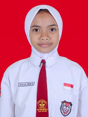 AULIA NUR SAFIRA