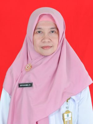 SUSTYA EKA HAMIDA, S. Pd